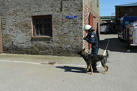 DanGer Response Tinglev 2016 077